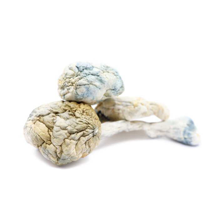 Alien-Bubbles-Magic-Mushrooms.jpg Alien-Bubbles-Magic-Mushrooms.jpg