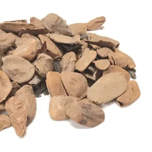 AKUAMMA SEED