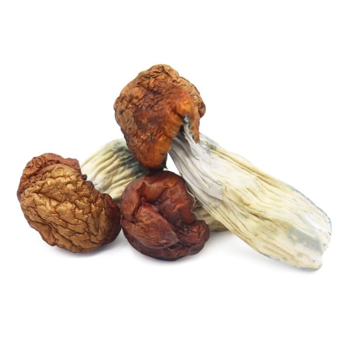 Blue-Pulaski-Magic-Mushrooms.jpg