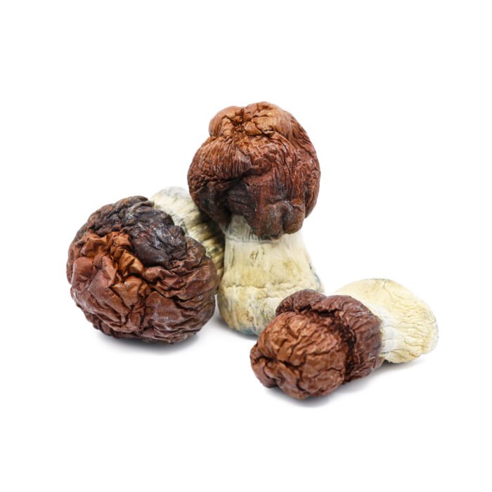 Bluey-Vuitton-Magic-Mushrooms.jpg Bluey-Vuitton-Magic-Mushrooms.jpg