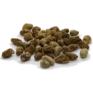 Iboga Seeds