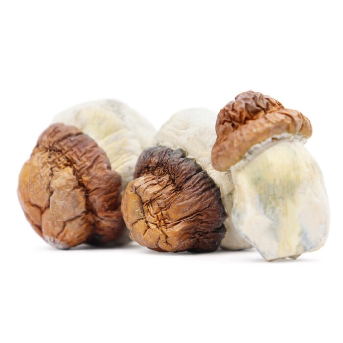 Code-Blue-Magic-Mushrooms.jpg Code-Blue-Magic-Mushrooms.jpg