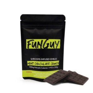 FunGuy Mint Chocolate Crunch Bar