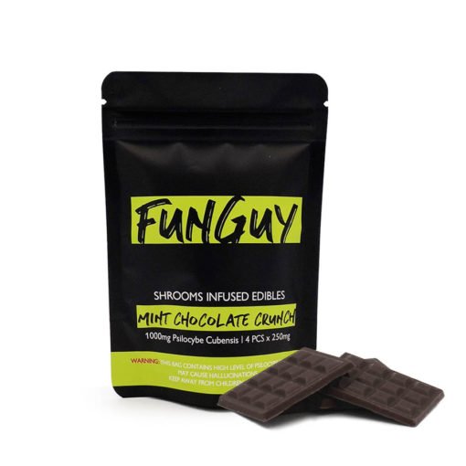 FunGuy-Mint-Chocolate-Crunch-Bar.jpg FunGuy-Mint-Chocolate-Crunch-Bar.jpg