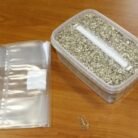 Golden-Teacher-Mushroom-Grow-Kit-1.jpg