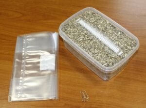 Golden-Teacher-Mushroom-Grow-Kit-1.jpg