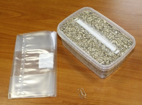 Golden-Teacher-Mushroom-Grow-Kit-1.jpg Golden-Teacher-Mushroom-Grow-Kit-1.jpg