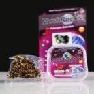 Mushrocks-Magic-Truffles-1.jpeg