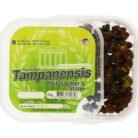 Tampanensis-Magic-Truffles1-1.jpg