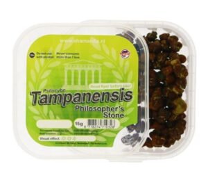 Tampanensis Magic Truffles