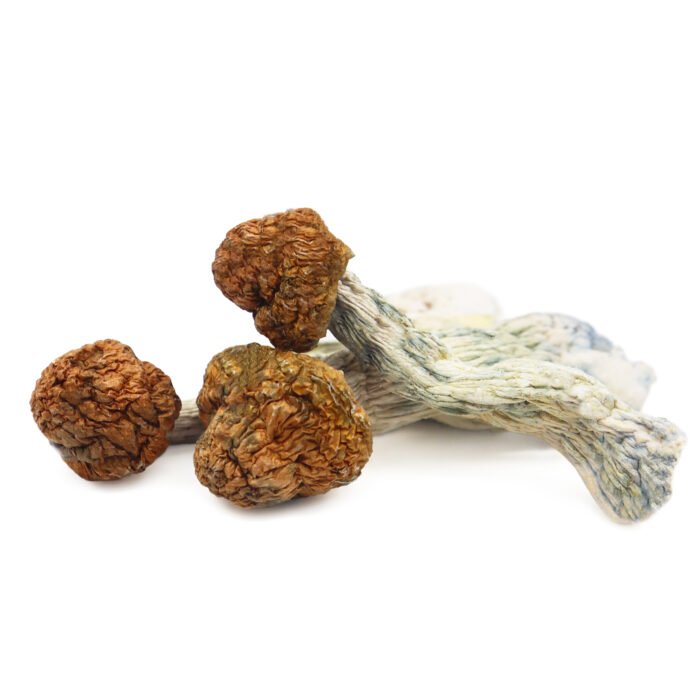 Trinity-Magic-Mushrooms.jpg Trinity-Magic-Mushrooms.jpg