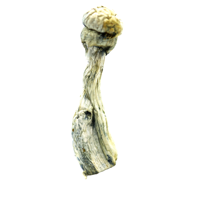image-16-1.png image-16-1.png